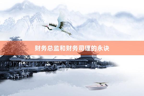 财务总监和财务司理的永诀