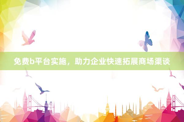 免费b平台实施，助力企业快速拓展商场渠谈