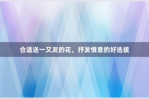 合适送一又友的花，抒发情意的好选拔
