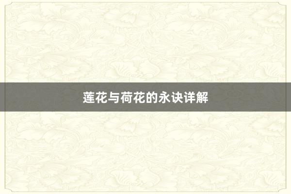 莲花与荷花的永诀详解