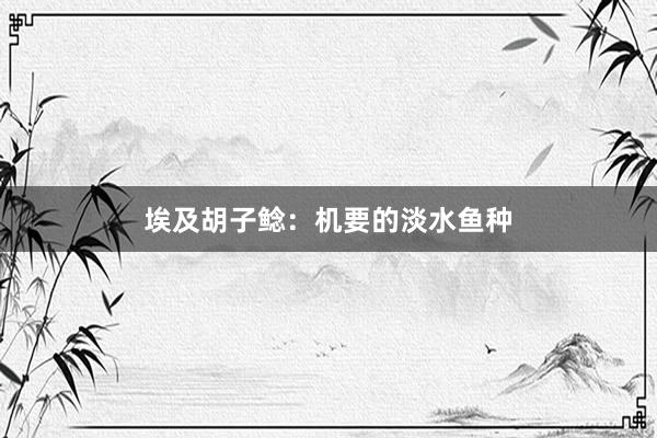 埃及胡子鲶：机要的淡水鱼种